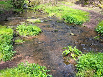 23-04-30 10-43-24 5229